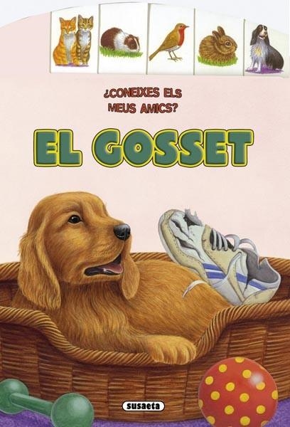 GOSSET, EL | 9788467705904 | HADERLEIN, UTE | Llibreria Drac - Llibreria d'Olot | Comprar llibres en català i castellà online
