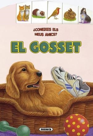 GOSSET, EL | 9788467705904 | HADERLEIN, UTE | Llibreria Drac - Llibreria d'Olot | Comprar llibres en català i castellà online