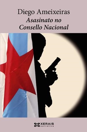 ASASINATO NO CONSELLO NACIONAL | 9788499141718 | AMEIXEIRAS, DIEGO | Llibreria Drac - Librería de Olot | Comprar libros en catalán y castellano online