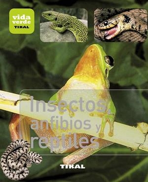 INSECTOS ANFIBIOS Y REPTILES | 9788499281377 | VV.AA. | Llibreria Drac - Librería de Olot | Comprar libros en catalán y castellano online