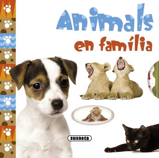 ANIMALS EN FAMILIA | 9788467717228 | VV.AA. | Llibreria Drac - Librería de Olot | Comprar libros en catalán y castellano online
