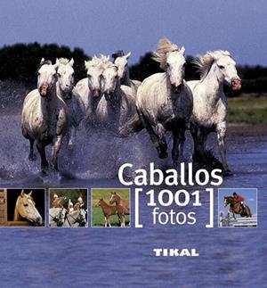 CABALLOS 1001 FOTOS | 9788499280875 | RUDEL, MURIELLE/VIARD, MICHEL | Llibreria Drac - Librería de Olot | Comprar libros en catalán y castellano online