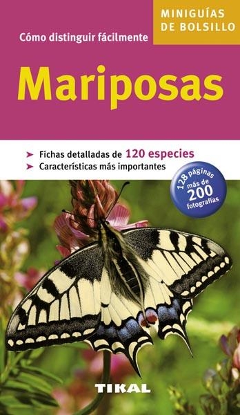 COMO DISTINGUIR FACILMENTE MARIPOSAS | 9788492678402 | VARIOS AUTORES | Llibreria Drac - Librería de Olot | Comprar libros en catalán y castellano online