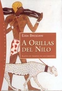 A ORILLAS DEL NILO. EGIPTO EN TIEMPOS DE LOS FARAONES | 9788449311345 | BRESCIANI, EDDA | Llibreria Drac - Llibreria d'Olot | Comprar llibres en català i castellà online