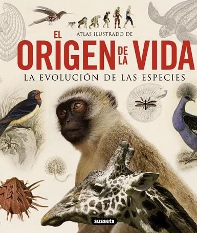 ATLAS ILUSTRADO DE EL ORIGEN DE LA VIDA. LA EVOLUCION DE LAS | 9788467713336 | VV.AA. | Llibreria Drac - Librería de Olot | Comprar libros en catalán y castellano online