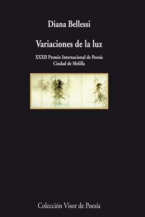 VARIACIONES DE LA LUZ | 9788498957839 | BELLESI, DIANA | Llibreria Drac - Librería de Olot | Comprar libros en catalán y castellano online