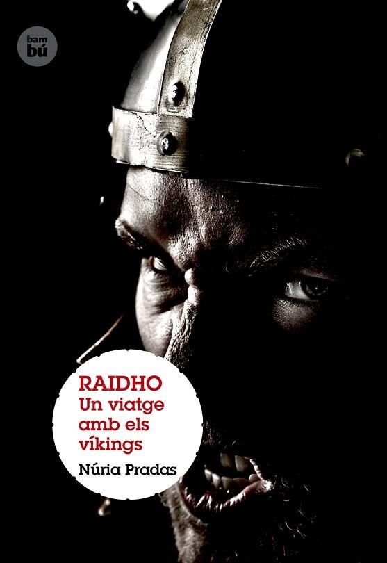 RAIDHO. UN VIATGE AMB ELS VIKINGS | 9788483431399 | PRADAS, NURIA | Llibreria Drac - Librería de Olot | Comprar libros en catalán y castellano online