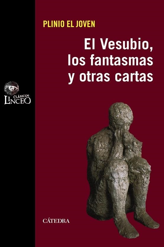 VESUBIO LOS FANTASMAS Y OTRAS CARTAS, LOS | 9788437628899 | PLINIO EL JOVEN | Llibreria Drac - Librería de Olot | Comprar libros en catalán y castellano online
