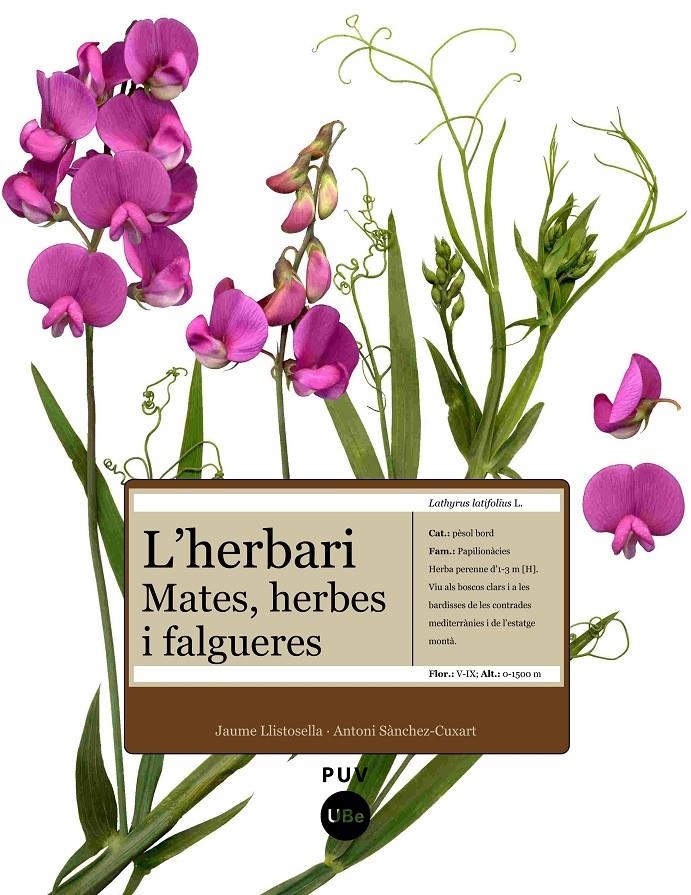 HERBARI, L': MATES, HERBES I FALGUERES | 9788447531905 | LLISTOSELLA, JAUME | Llibreria Drac - Librería de Olot | Comprar libros en catalán y castellano online