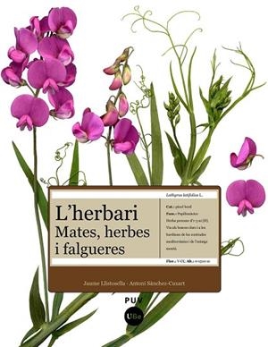 HERBARI, L': MATES, HERBES I FALGUERES | 9788447531905 | LLISTOSELLA, JAUME | Llibreria Drac - Librería de Olot | Comprar libros en catalán y castellano online