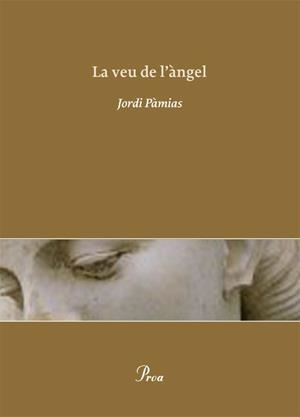 VEU DE L'ANGEL, LA | 9788484375111 | PAMIAS, JORDI | Llibreria Drac - Llibreria d'Olot | Comprar llibres en català i castellà online