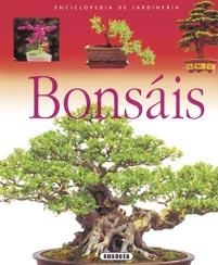 BONSAIS | 9788430567652 | VV.AA. | Llibreria Drac - Librería de Olot | Comprar libros en catalán y castellano online