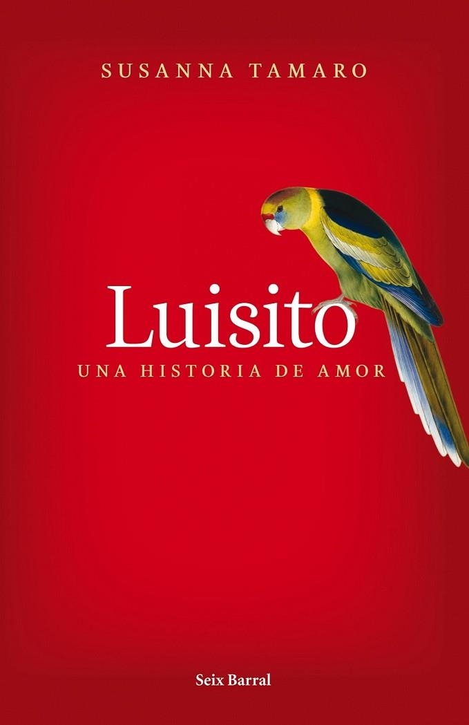 LUISITO. UNA HISTORIA DE AMOR | 9788432231841 | TAMARO, SUSANNA | Llibreria Drac - Librería de Olot | Comprar libros en catalán y castellano online