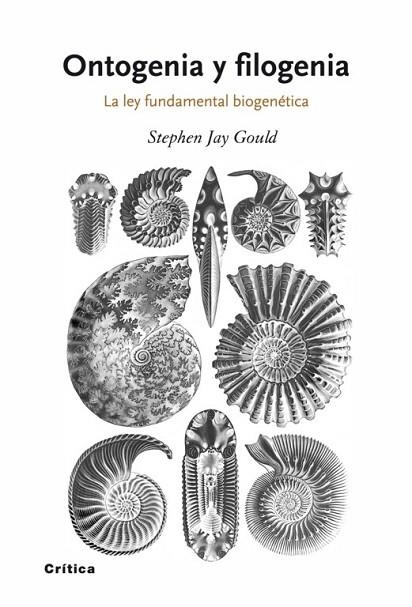 ONTOGENIA Y FILOGENIA | 9788498920628 | JAY GOULD, STEPHEN | Llibreria Drac - Librería de Olot | Comprar libros en catalán y castellano online
