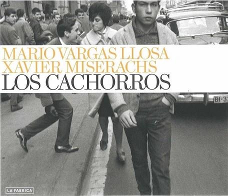 CACHORROS, LOS | 9788492841318 | VARGAS LLOSA, MARIO | Llibreria Drac - Librería de Olot | Comprar libros en catalán y castellano online