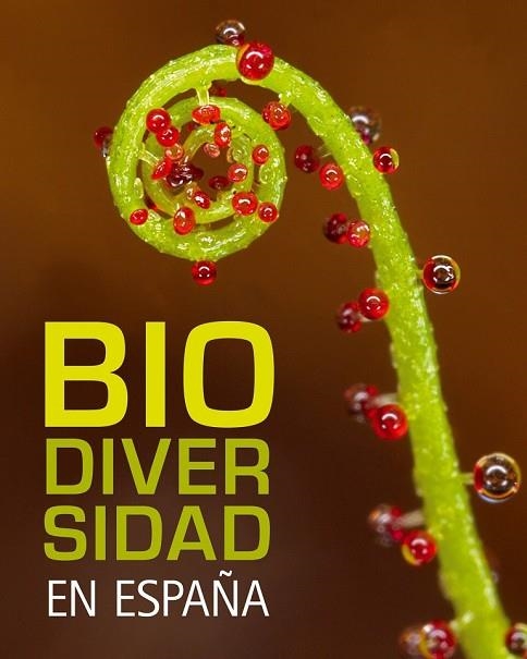 BIODIVERSIDAD EN ESPAÑA | 9788497856317 | AA.VV. | Llibreria Drac - Llibreria d'Olot | Comprar llibres en català i castellà online
