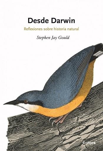 DESDE DARWIN | 9788498920888 | JAY, STEPHEN | Llibreria Drac - Librería de Olot | Comprar libros en catalán y castellano online