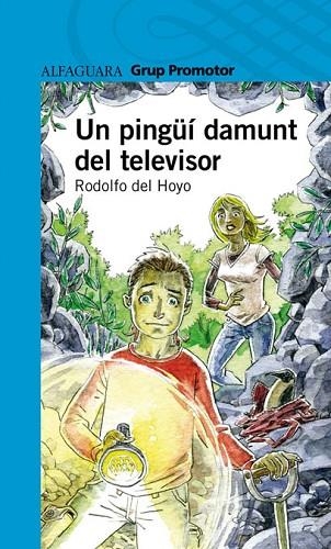 PINGUI DAMUNT DEL TELEVISOR, UN | 9788479185862 | DEL HOYO ALFARO, RODOLFO | Llibreria Drac - Librería de Olot | Comprar libros en catalán y castellano online