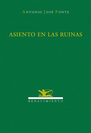 ASIENTO EN LAS RUINAS | 9788484721871 | PONTE, A.J. | Llibreria Drac - Librería de Olot | Comprar libros en catalán y castellano online
