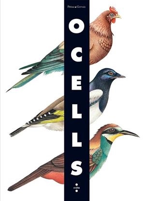 OCELLS (DESPLEGABLE) | 9788466126243 | GERVAIS, PITTAU | Llibreria Drac - Llibreria d'Olot | Comprar llibres en català i castellà online