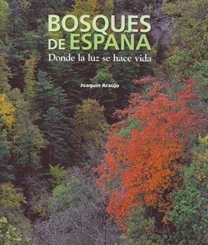 BOSQUES DE ESPAÑA. DONDE LA LUZ SE HACE VIDA | 9788497856782 | ARAUJO, JOAQUIN | Llibreria Drac - Librería de Olot | Comprar libros en catalán y castellano online