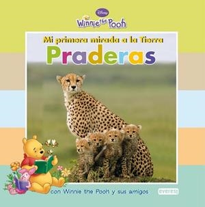 PRADERAS (WINNIE THE POOH) | 9788444164250 | AA.VV | Llibreria Drac - Llibreria d'Olot | Comprar llibres en català i castellà online