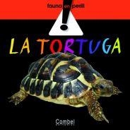 TORTUGA, LA | 9788498253764 | VV.AA. | Llibreria Drac - Llibreria d'Olot | Comprar llibres en català i castellà online