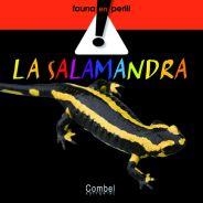 SALAMANDRA, LA | 9788498254501 | VV.AA. | Llibreria Drac - Librería de Olot | Comprar libros en catalán y castellano online