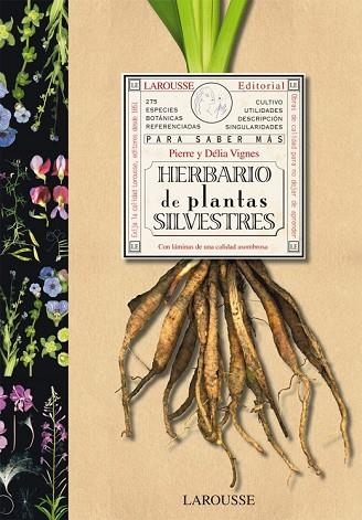 HERBARIO DE PLANTAS SILVESTRES | 9788480168762 | VIGNES, PIERRE I DELIA | Llibreria Drac - Librería de Olot | Comprar libros en catalán y castellano online