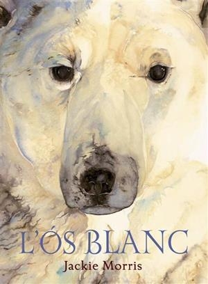 OS BLANC, L' | 9788489825734 | MORRIS, JACKIE | Llibreria Drac - Llibreria d'Olot | Comprar llibres en català i castellà online