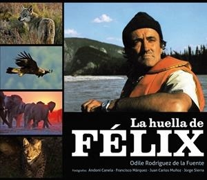 HUELLA DE FELIX, LA | 9788425345685 | RODRIGUEZ DE LA FUENTE, ODILE | Llibreria Drac - Librería de Olot | Comprar libros en catalán y castellano online