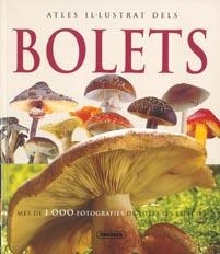 ATLES IL·LUSTRAT DELS BOLETS | 9788467700350 | VV.AA. | Llibreria Drac - Librería de Olot | Comprar libros en catalán y castellano online