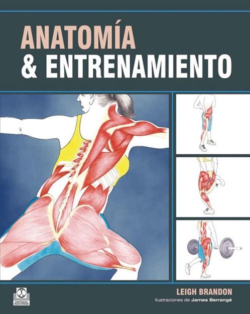 ANATOMIA Y ENTRENAMIENTO | 9788499100548 | BRANDON, LEIGH | Llibreria Drac - Librería de Olot | Comprar libros en catalán y castellano online