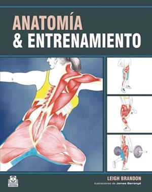 ANATOMIA Y ENTRENAMIENTO | 9788499100548 | BRANDON, LEIGH | Llibreria Drac - Librería de Olot | Comprar libros en catalán y castellano online
