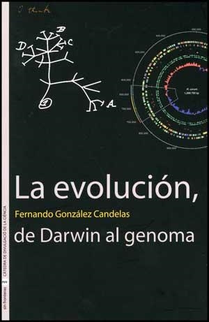 EVOLUCION DE DARWIN AL GENOMA, LA | 9788437075464 | GONZALEZ, FERNANDO | Llibreria Drac - Librería de Olot | Comprar libros en catalán y castellano online