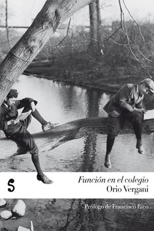 FUNCION EN EL COLEGIO | 9788493755928 | VERGANI, ORIO | Llibreria Drac - Librería de Olot | Comprar libros en catalán y castellano online