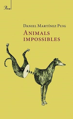 ANIMALS IMPOSSIBLES | 9788482560021 | MARTINEZ, DANIEL | Llibreria Drac - Librería de Olot | Comprar libros en catalán y castellano online