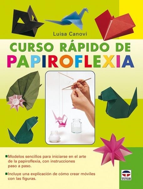 CURSO RAPIDO DE PAPIROFLEXIA | 9788479027704 | CANOVI, LUISA | Llibreria Drac - Librería de Olot | Comprar libros en catalán y castellano online