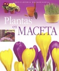 PLANTAS EN MACETA | 9788430567584 | VV.AA | Llibreria Drac - Librería de Olot | Comprar libros en catalán y castellano online