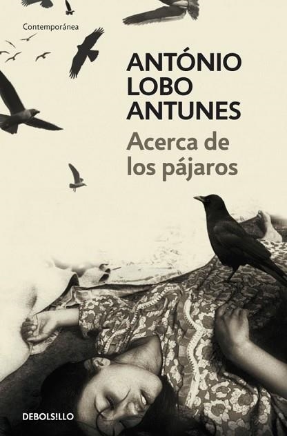 ACERCA DE LOS PAJAROS | 9788483469163 | LOBO, ANTONIO | Llibreria Drac - Librería de Olot | Comprar libros en catalán y castellano online