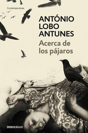 ACERCA DE LOS PAJAROS | 9788483469163 | LOBO, ANTONIO | Llibreria Drac - Librería de Olot | Comprar libros en catalán y castellano online