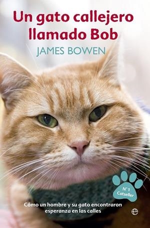 GATO CALLEJERO LLAMADO BOB, UN | 9788499709451 | BOWDEN, JAMES | Llibreria Drac - Librería de Olot | Comprar libros en catalán y castellano online