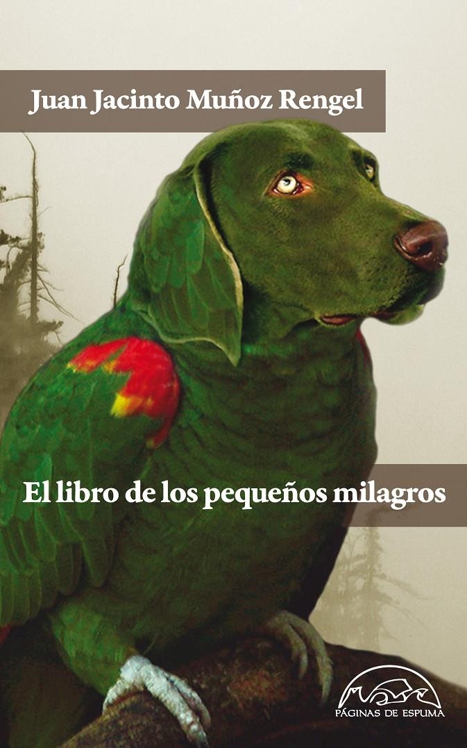 LIBRO DE LOS PEQUEÑOS MILAGROS, EL | 9788483931462 | MUÑOZ RENGEL, JUAN JACINTO | Llibreria Drac - Llibreria d'Olot | Comprar llibres en català i castellà online
