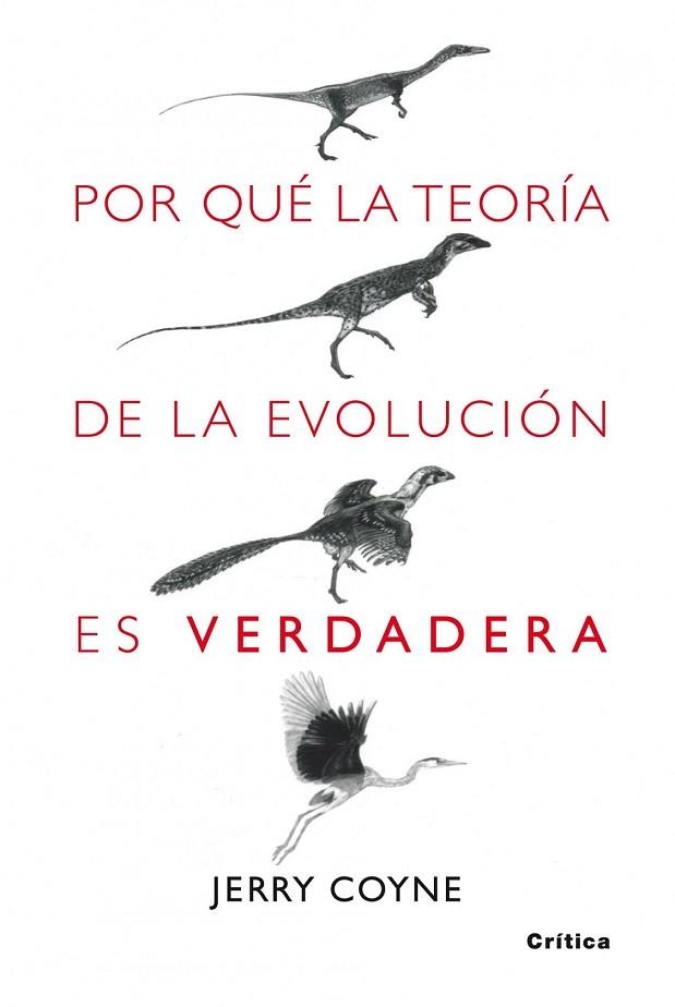 POR QUE LA TEORIA DE LA EVOLUCION ES VERDADERA | 9788498920222 | COYNE, JERRY | Llibreria Drac - Librería de Olot | Comprar libros en catalán y castellano online
