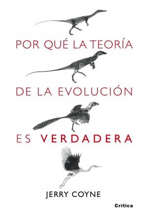 POR QUE LA TEORIA DE LA EVOLUCION ES VERDADERA | 9788498920222 | COYNE, JERRY | Llibreria Drac - Librería de Olot | Comprar libros en catalán y castellano online