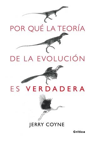 POR QUE LA TEORIA DE LA EVOLUCION ES VERDADERA | 9788498920222 | COYNE, JERRY | Llibreria Drac - Librería de Olot | Comprar libros en catalán y castellano online