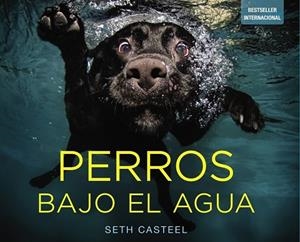 PERROS BAJO EL AGUA | 9788441534612 | CASTEL, SETH | Llibreria Drac - Llibreria d'Olot | Comprar llibres en català i castellà online