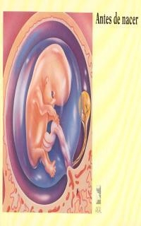 ANTES DE NACER | 9788476006351 | PARKER, STEPHEN | Llibreria Drac - Librería de Olot | Comprar libros en catalán y castellano online