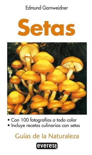 SETAS.GUIAS DE LA NATURALEZA | 9788424126506 | GARNWEIDNER,, EDMUND | Llibreria Drac - Llibreria d'Olot | Comprar llibres en català i castellà online