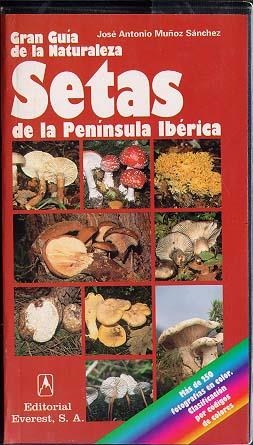 SETAS DE LA PENINSULA IBERICA, GRAN GUIA DE LA NATURALEZA | 9788424126896 | Llibreria Drac - Llibreria d'Olot | Comprar llibres en català i castellà online